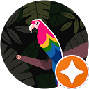 Rizan Riz profile picture